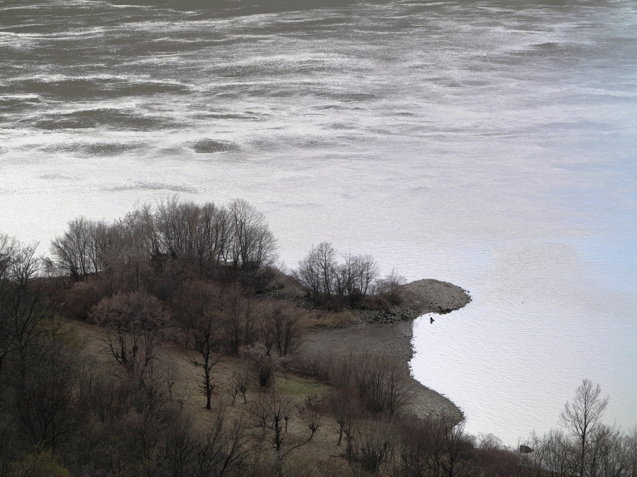 malul Dunarii