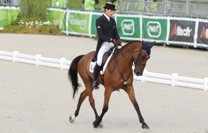 Un cal a fost prins dopat și nu mai merge la Jocurile Olimpice