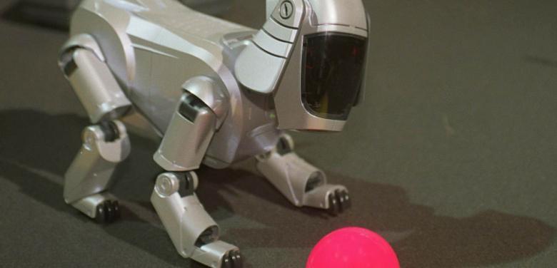 Pana in 2050, robotii ar putea deveni animale de companie