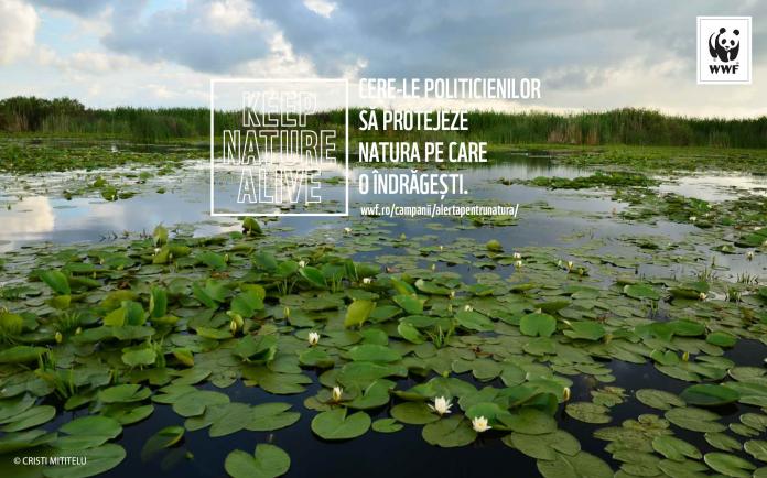 ALERTĂ pentru NATURĂ: Semnează petiţia WWF pentru menţinerea neschimbată a directivelor Natura 2000