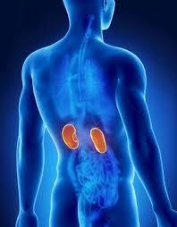 Pietrele la rinichi sunt mai frecvente la bărbaţi şi apar din cauza nivelului ridicat de zinc în organism