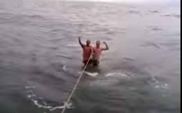 Doi IDIOȚI încearcă să facă surf pe un RECHIN-BALENĂ (VIDEO)