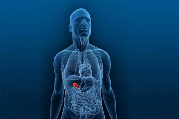 DIETA indicată în bolile VEZICII BILIARE. 7 alimente interzise, 5 alimente permise și programul strict de masă