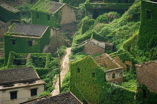 Imagini unice! Satul acoperit în întregime de verdeață