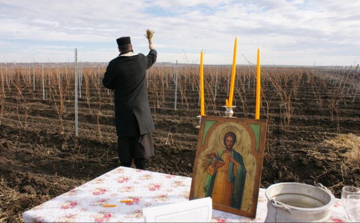  CHEMAREA PLOII. Patriarhia Română, îndemn la rugăciuni pentru a alunga seceta 