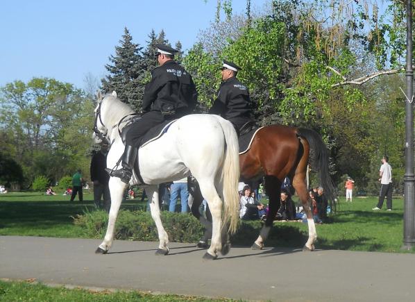 Butoiul lui Diogene. Treceau duios doi poliţişti călare...