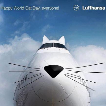Cum a sărbătorit Lufthansa Ziua Internațională a Pisicii
