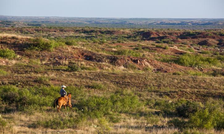 Al dumneavostră pentru 725 de milioane de dolari. Un ranch din Texas, mai mare decât New York şi Los Angeles la un loc!