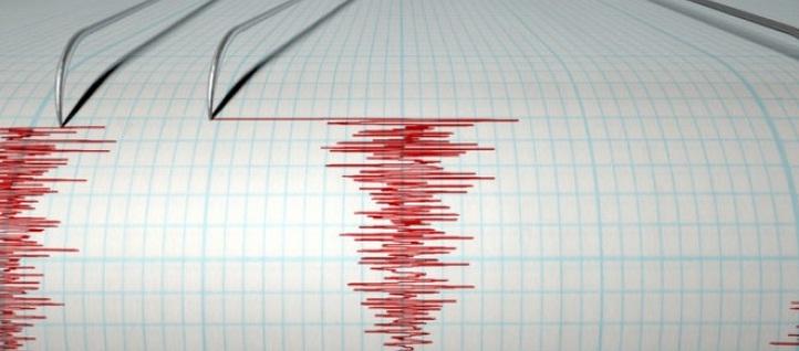 CUTREMURE SUCCESIVE în România, în această dimineaţă. Seismele s-au produs în Vrancea şi Buzău