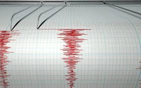 Cutremur de 3,1 grade pe scara Richter în județul Vrancea, sâmbătă seara