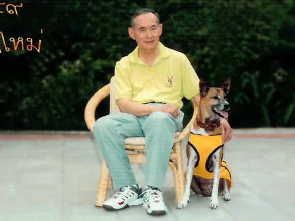 A murit câinele regelui Thailandei. Jale mare pe prima pagină a ziarelor