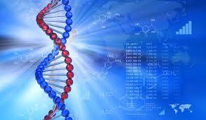 Cercetătorii au creat un test ADN care stabileşte vârsta unui infractor