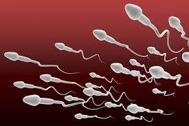 O mână de ajutor dată bărbaților: bebeluși concepuți din spermă obținută în... laborator!