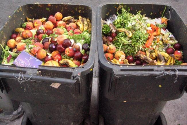 Un român aruncă anual circa 250 kg de alimente