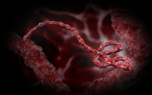 Ebola: Virusul persistă în spermă nouă luni, după vindecare