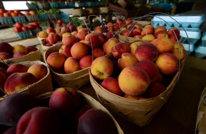 Tone de caise și nectarine turceşti, cu reziduuri de pesticide peste limita admisă