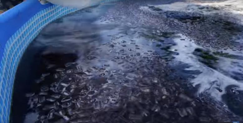 Baie într-o piscină umplută cu cinci mii de litri de cola, cu gheață (VIDEO)