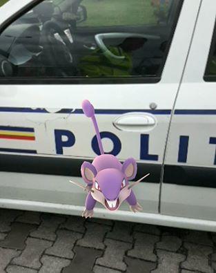 Cum l-a prins POLIŢIA pe pokemonul Rattata. Iată povestea lui Marian Godină