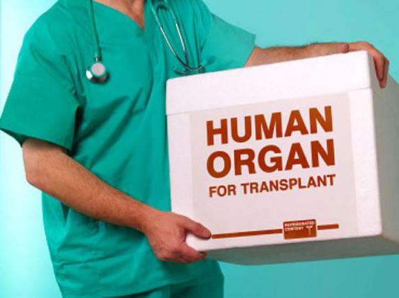 Prof. dr. Irinel Popescu: Am făcut şi trei transplanturi într-o zi, acum nu mai avem aşa ceva!