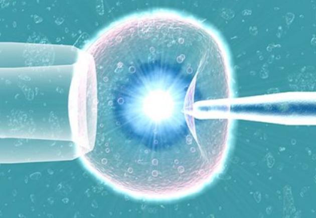  Fertilizare in vitro: Confuzie în privinţa spermatozoizilor folosiţi!