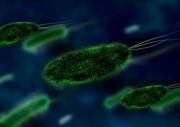 O superbacterie, rezistentă la toate antibioticele, a făcut prima victimă