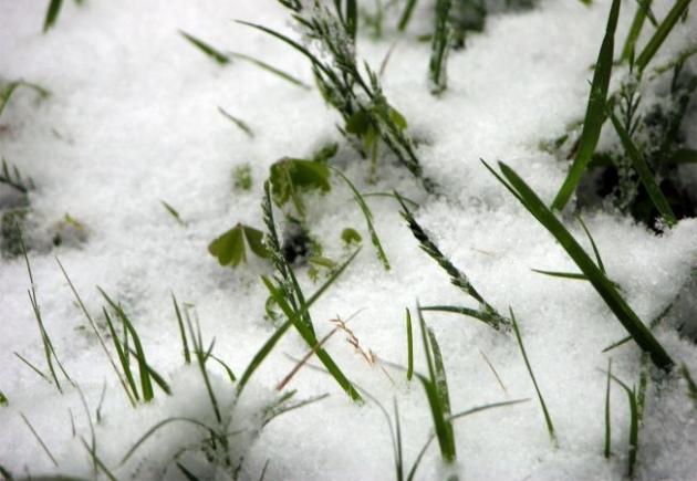 Vreme în încălzire, în următoarele două săptămâni