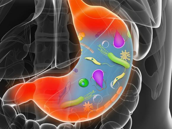 Noi antibiotice, chiar în microbiomul nostru intestinal!