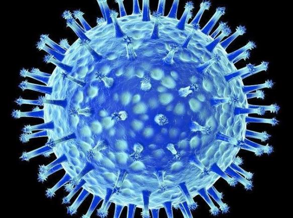 Gripa aviară: Mutaţia unui virus care provoacă îngrijorare!