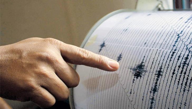 Cutremur cu magnitudinea 4,1 în Vrancea