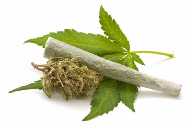 Canada legalizează consumul de marijuana
