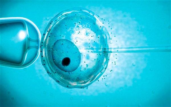 Olanda: 23 de copii, născuţi prin FIV, ar putea avea acelaşi tată biologic: fostul director al băncii de spermă