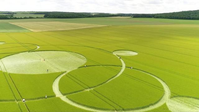 Se întâmplă din nou. Cercuri misterioase au apărut pe un câmp din Franţa (VIDEO)
