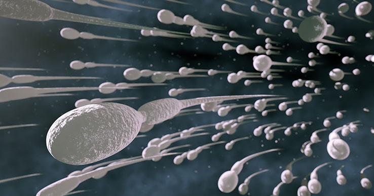 Calitatea spermei occidentalilor, într-o continuă scădere!
