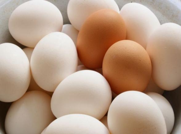 Scandalul ouălor contaminte se întinde în toată Europa. Olanda testează carnea de pui!
