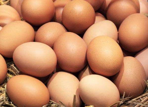 O tonă de pudră de ouă cu fipronil, confiscată în Bulgaria! 
