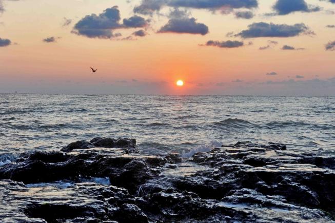 Temperatura apei Mării Negre dă peste cap tendinţele globale