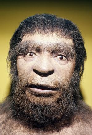 Ce am moştenit de la omul de Neanderthal: Schizofrenia, colesterolul, tulburările de alimentație și un bronz frumos