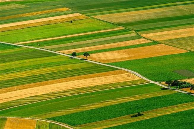 Zona de vest a României, în topul tranzacţiilor cu terenuri agricole mari, în 2018 