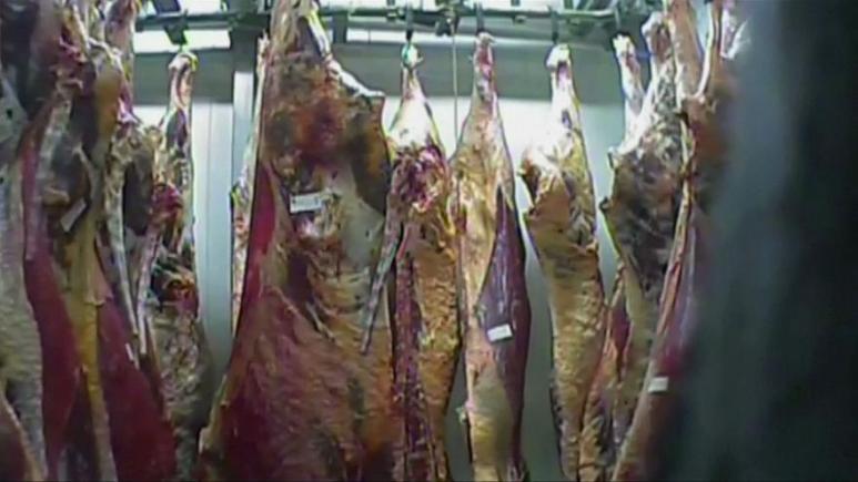 UPDATE. În România a intrat carne de vită de la animale bolnave, din Polonia