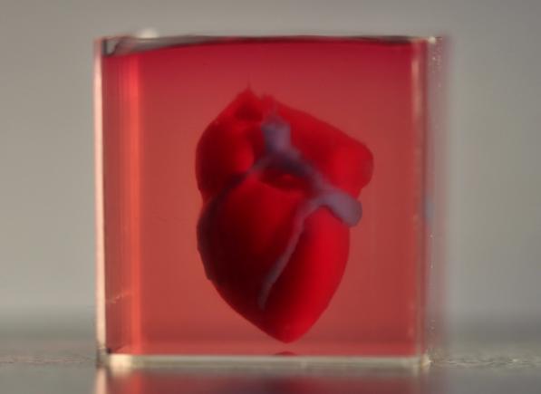 REVOLUȚIONAR. Cercetătorii israelieni au printat în 3D o inimă, folosind teșut uman