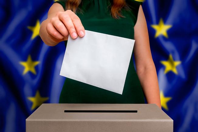EUROPARLAMENTARE. Partidul lui Frans Timmermans, dat câștigător în sondaje după cea mai mare prezență la vot din ultimii 30 de ani