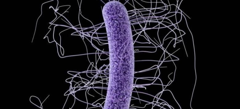 Metoda prin care bacteriile acaparează spitalele, descoperită de cercetătorii britanici