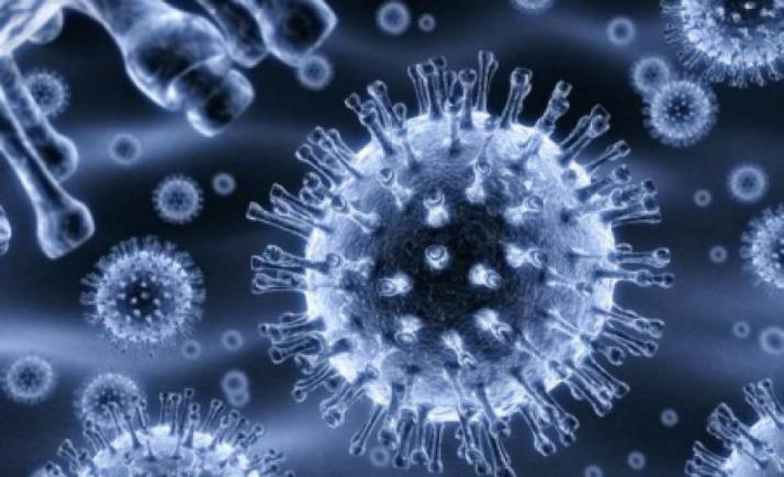 Virusul rujeolei șterge imunitatea dobândită anterior la alte infecții