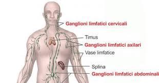 Atenţie la ganglionii de mici dimensiuni, nedureroşi şi persistenţi, deoarece pot fi semnul tuberculozei sau al cancerului! 