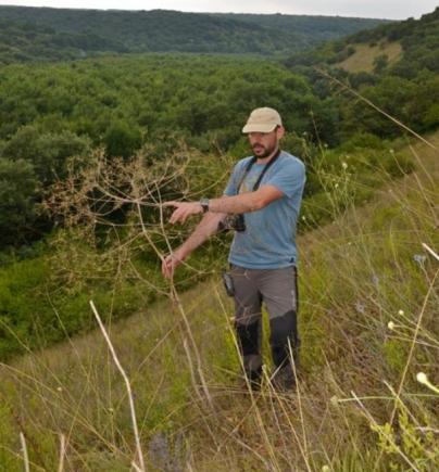 Cum a fost descoperită în Dobrogea o plantă unică în lume