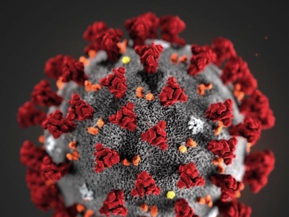 Cât timp rămâne de fapt noul coronavirus în organism. Date care dau totul peste cap