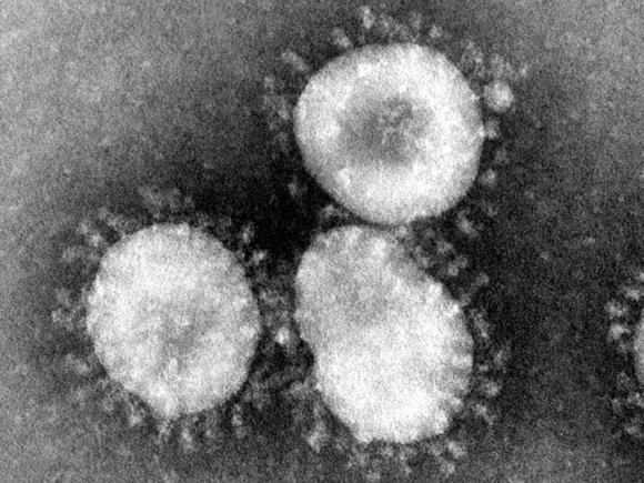 De ce nu este corect să spunem că „o a doua tulpină de coronavirus ucigaș” se răspândește
