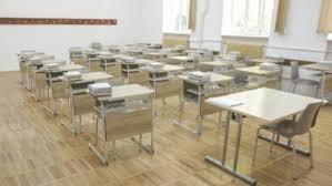 Monica Anisie: Examenele Naționale s-ar putea susține în luna iulie