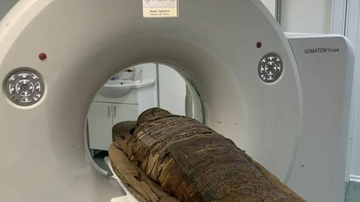 Cu mumia la tomograf. În premieră, la Facultatea de Medicină Veterinară din Cluj