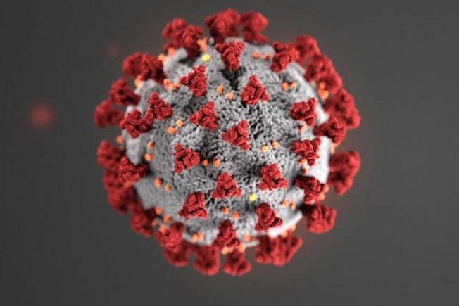 România a depășit pragul psihologic de 1500 de infectări cu coronavirus într-o zi
